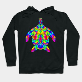 RIANBOW TURTLE Hoodie